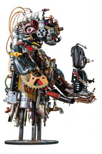 N21:Progenia robotica 1